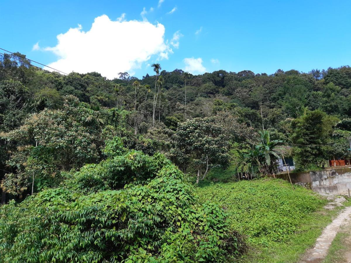 Mountain View Holiday Home Kalpetta Esterno foto